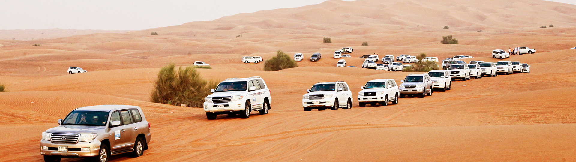 best desert safari dubai